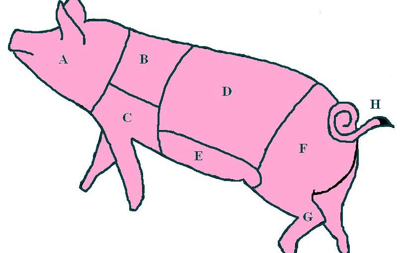 Diagram of a pig showing cuts of meat