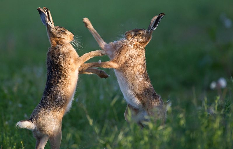 Grounding exercises for contact improvisation