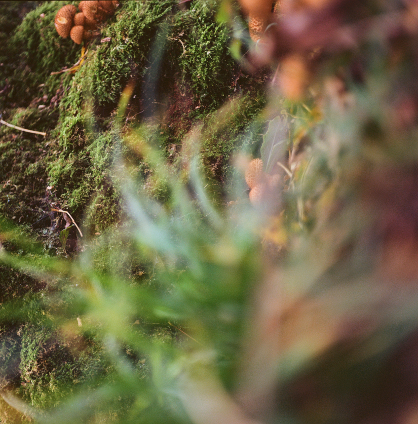 Colourfields #235.376-5515-2025-08