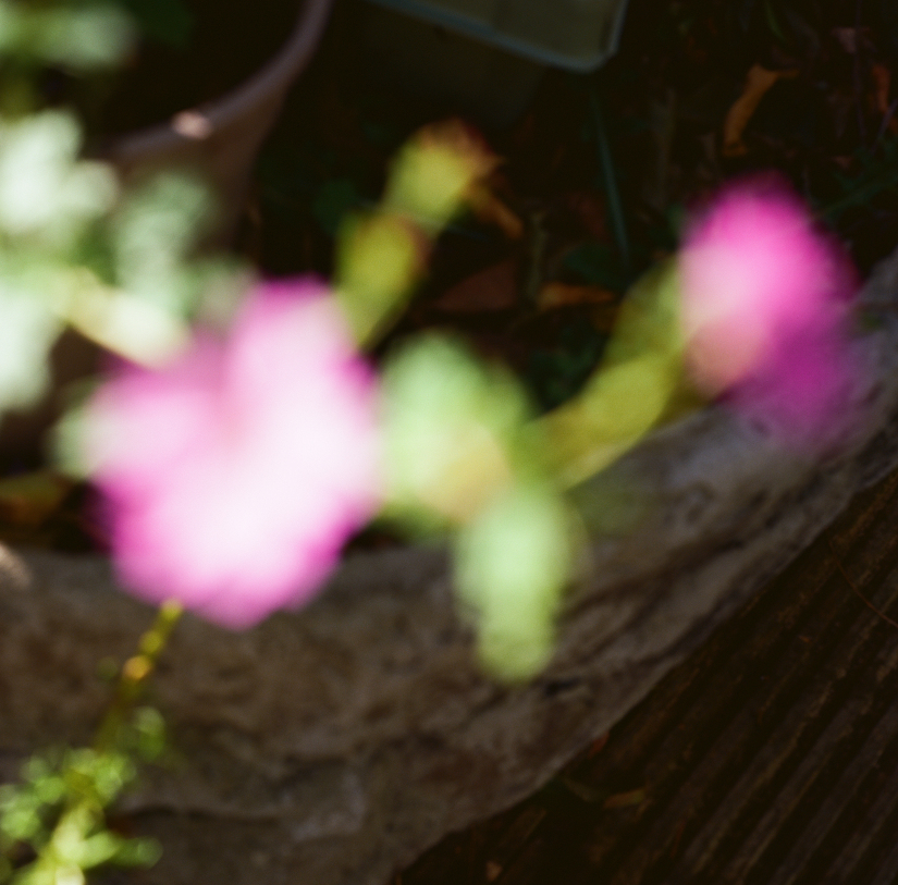 Colourfields #235.393-5616-2025-05