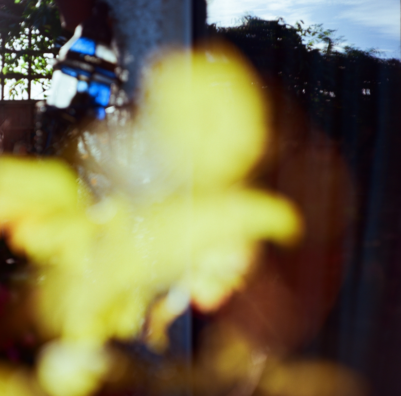 Colourfields #235.393-5616-2025--10