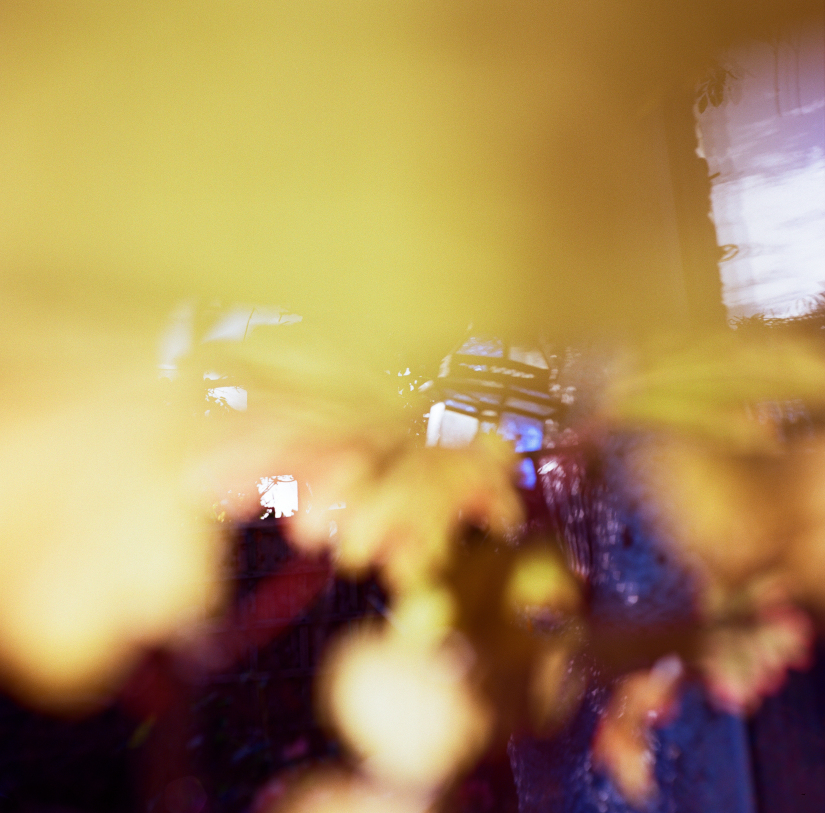 Colourfields #235.393-5616-2025-11