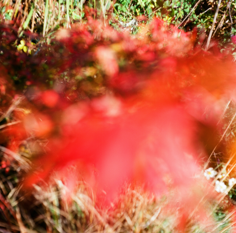 Colourfields #235.416-5724-2025-10