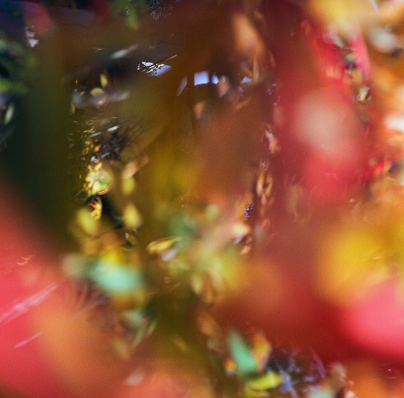 Colourfields #235.416-5724-2025-11