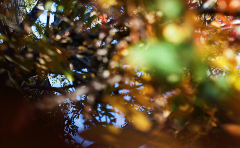 Colourfields Gallery 3