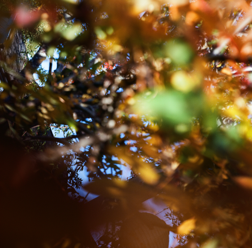 Colourfields #235.416-5724-2025-12