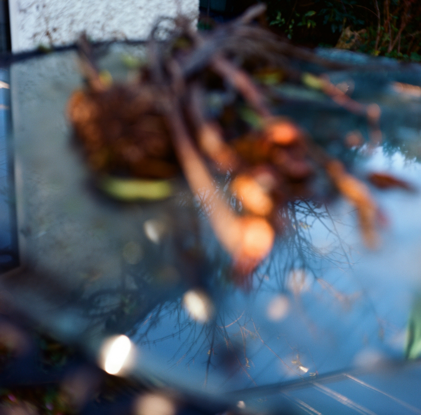 Colourfields #235.432-5864-2025-10