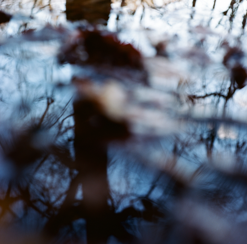 Colourfields #235.674-5856-2025-04