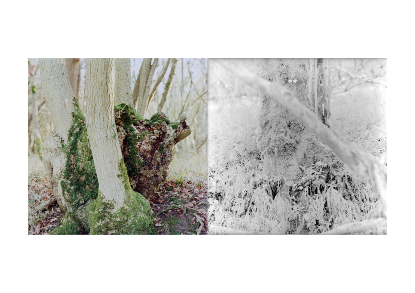 Feeling and Sensation Composition 11