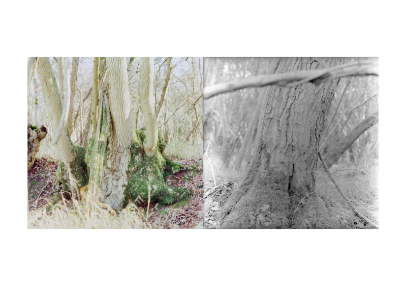 Feeling and Sensation Composition 12