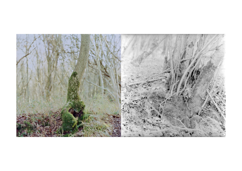 Feeling and Sensation Composition 13