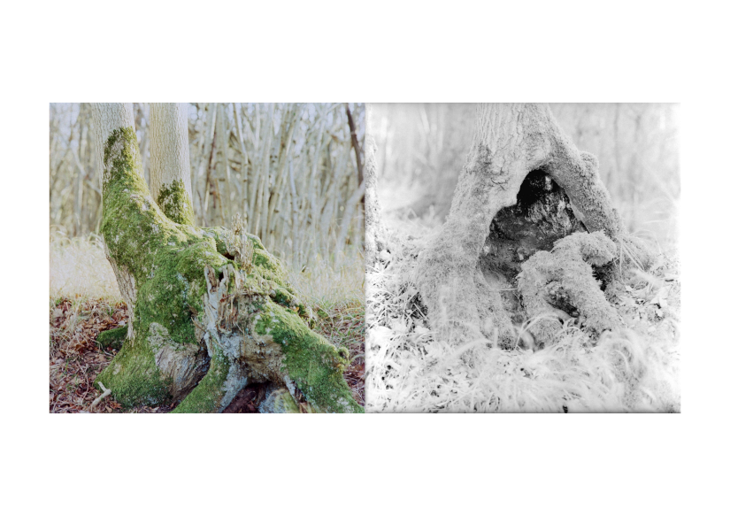 Feeling and Sensation Composition 15