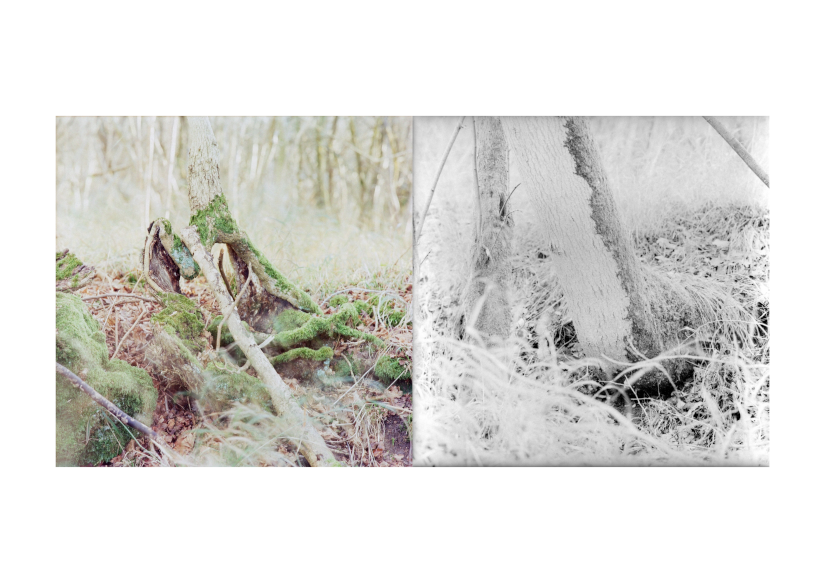 Feeling and Sensation Composition 17