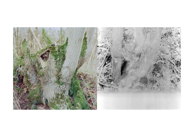 Feeling and Sensation Composition 18