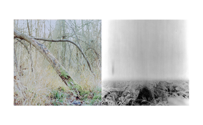 Feeling and Sensation Composition 19