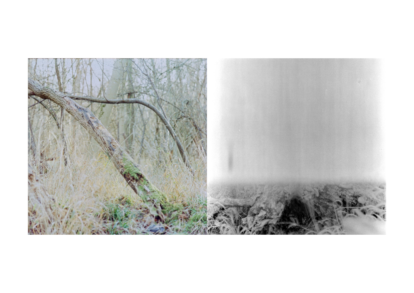 Feeling and Sensation Composition 19