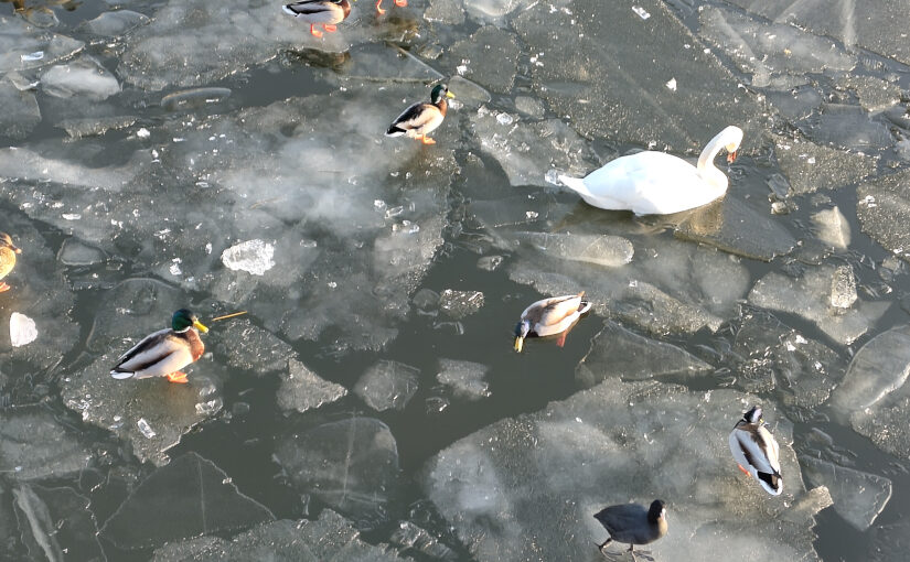 Mass flow – a dance